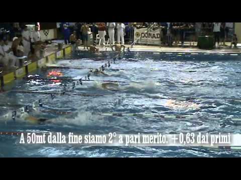 Staffetta 4x100 stile libero assoluta Fabriano 2016   #nuoto #benessere #acqua