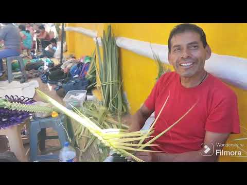 La sequía afecto a los artesanos de palma en la Mixteca. Un domingo de Ramos en Acatlan de Osorio.