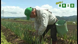 もみじチャンネル 2025年5月第2週／・特ダネ！農業王国（おいしいごはんのおかず！ネギ＆ブロッコリー＠松島）・5月24日開催！みのわＢＡＳＡＩフェスタ