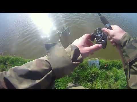 zawody wedkarskie nowiniec koło nr 3 gubin