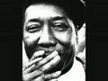 muddy waters -- mississippi delta blues 