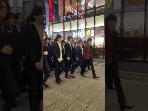 レッドアンジェリカ 植物