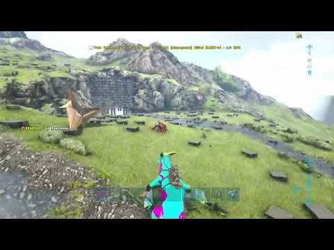 Bobs gone wild the fall of #USA mega rag us