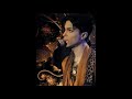 Prince, I Wonder - JAMES MCCRAY SR. Prince, I Wonder