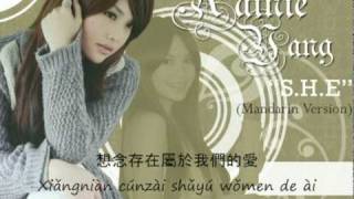 Rainie Yang - S.H.E (mandarin version) with lyrics and pinyin
