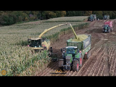 Reichen 4 Abfahrer für den Rest? Wir häckseln das 1,2km Lage Maisfeld Maisernte LU Walter-Schütt