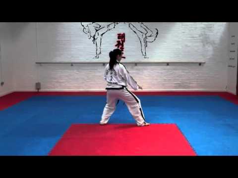 Toi Gye Tul and basic movements for grading to 2nd kup