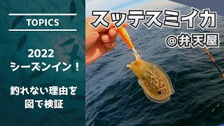 スッテスミイカ釣り@弁天屋 2022/10 | 2022スミイカ開始 | シャクリ方 | 仕掛け | タックル | ダウンショット