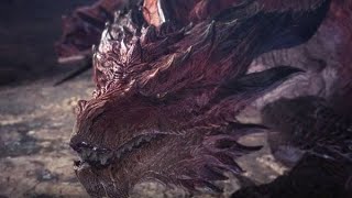 ゼノジーヴァ成体2人で生放送