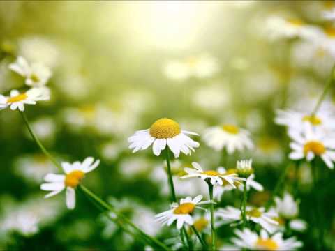 Kroppsscanning Mindfulness