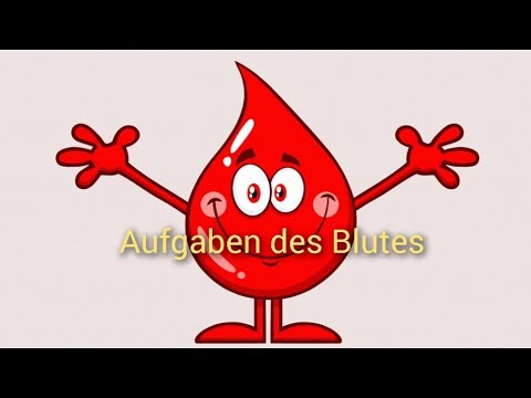 Aufgaben des Blutes