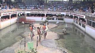 preview picture of video 'Samut Prakan Crocodile Farm and Zoo, Samut Prakan Province, Thailand  (18)'
