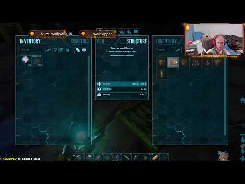 Can We Survive. Casual Chat Extinction Survival Pt18 Base Organising and Farming Mat's