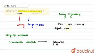 What are biomacromolecules ?  | CLASS 11 | Biomolecules | BIOLOGY | Doubtnut