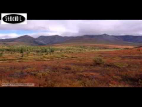 Kerameti Allahovih dz.s. odabranika