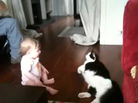 Roisin and Smudge meet.