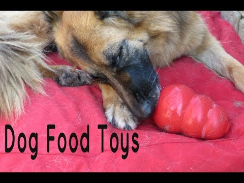Commercial Dog Food Toys - Boredom Busters - Environmental Enrichment - Dog Training