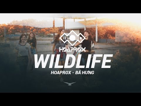 WILDLIFE (ORIGINAL MIX) - HOAPROX FT BÁ HƯNG | 1 HOUR REPLAY | HOAPROX OFFICIAL