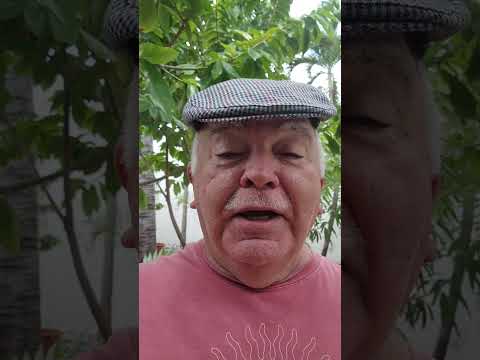 luciano hortencio - NÓS OS CARECAS