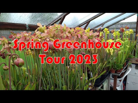 Carnivorous Plants - Spring Greenhouse Tour 2023