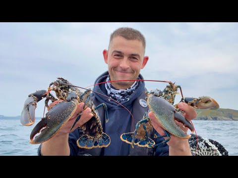 First Trip hand hauling the Fish Locker Lobster pots of 2022 - Awesome Catches | The Fish Locker