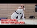 Practical Kata Bunkai Final Shuto Ukes Of Bassai Dai