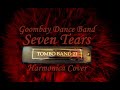 Seven Tears Goombay Dance Band Harmonica Cover