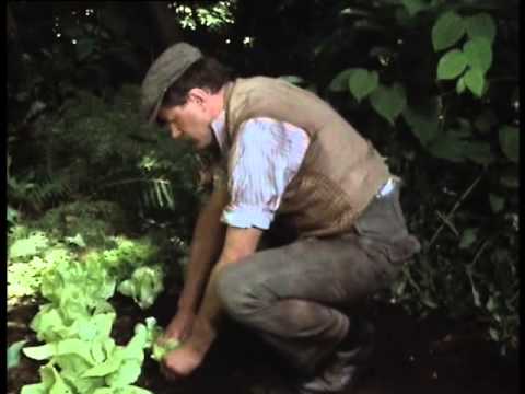 Miss Marple Joan Hickson Sleeping Murder 1987