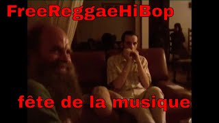 Freereggaehibop (James Carter) harmonica diatonique