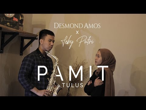 Download Lagu Feby Putri Pamit Mp3 Gratis