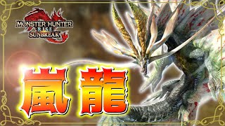 【モンスターハンターライズサンブレイク switch版】#16 今さらライズを始めたけど大型アプデでアマツマガツチ来た！【生放送】