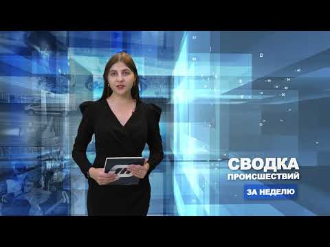 Сводка происшествий / 03.07.2023
