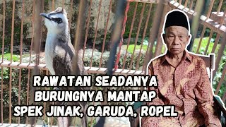 Download lagu REVIEW OF A TRUCUKAN BIRD OWNED BY A 90 YEAR OLD GRANDFATHER, THE CAGE IS BROKEN BUT THE BIRD IS ... mp3