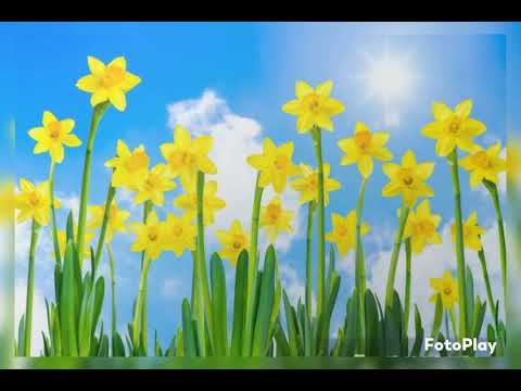 Z WIOSNĄ GRAJ W ZIELONE