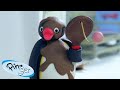 Pingu Gets Creative Pingu Official Channel Cartoons For Kids