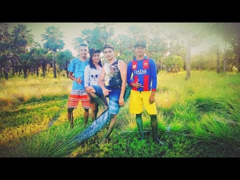 DANÇA TRIBAL :  A poética do Imaginário Caboclo