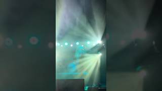 The DETROIT Cobras 2016 DIY