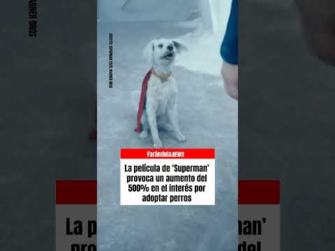 Superman | Avance extendido