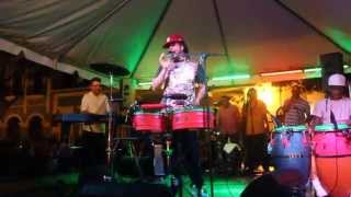 PIRULO Y LA TRIBU YA LLEGO EN VIVO