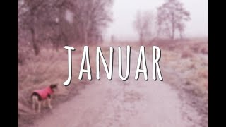 Musik-Video-Miniaturansicht zu Januar Songtext von Vera Jahnke