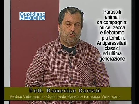 Sogni prenotano un verme lungo in un corpo Parassiti di un potere-insetto