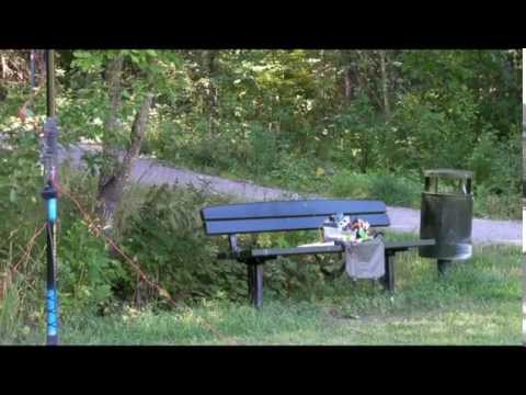 En stund i Vårdsätra skog