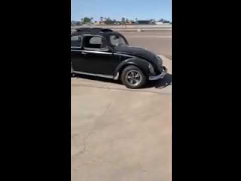 1956 Volkswagen Beetle (CC-1375069) for sale in Tampa, Florida