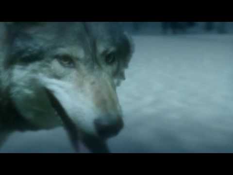 From The Land Of The Wolf - Eristoff Vodka Black