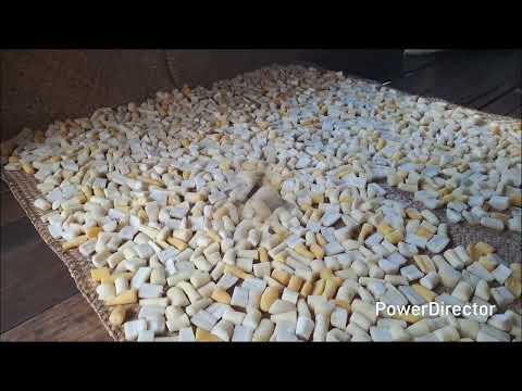 Proses Pembuatan Tapai Singkong