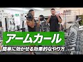 簡単に効く!アームカールの効果的なやり方【ビーレジェンド プロテイン】