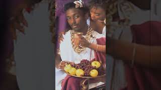 Classic Hip-Hop Verses #8 - Big Daddy Kane - Long Live The Kane 1988 -Full Upload @thedailybeatdrop