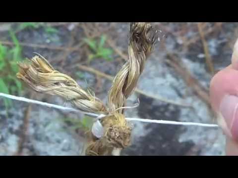 How to Tie the Sailmaker's Whipping