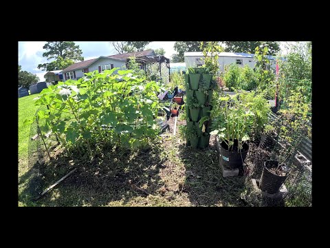 SPEND THE DAY IN THE GARDEN