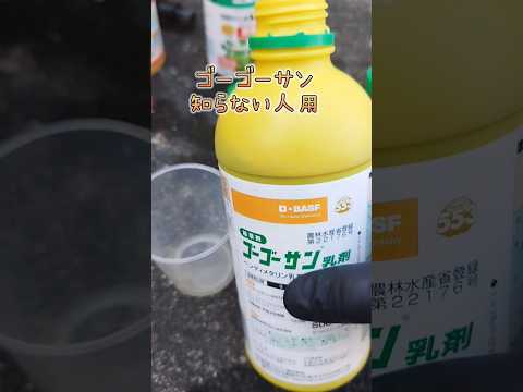 スラブ間の除草方法は？化学的または自然のどちらの方法を好むべきですか?  庭園